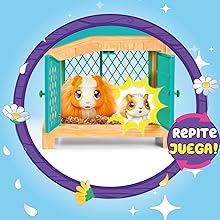 cobaya little live pets