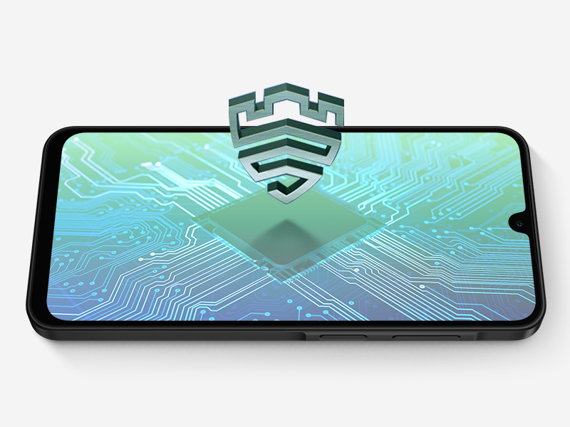 Knox Vault
