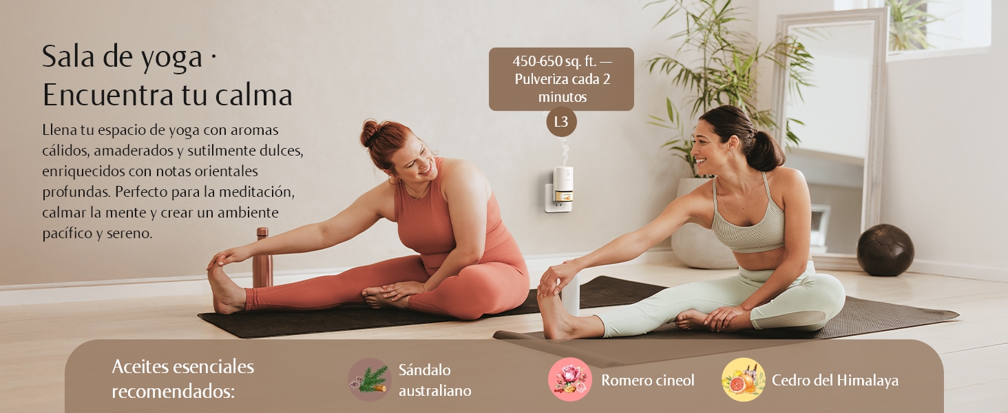 Studio · Energize Your Day