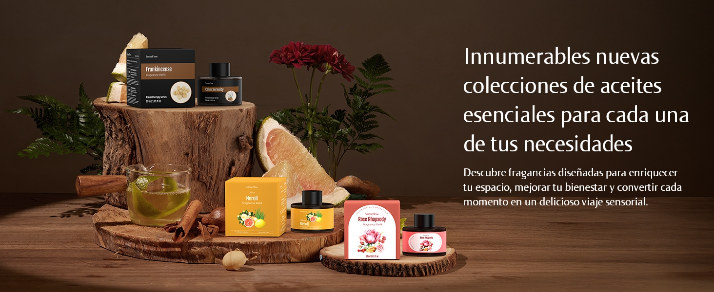 Endless New Essential Oil Collections to Meet Your Every Need